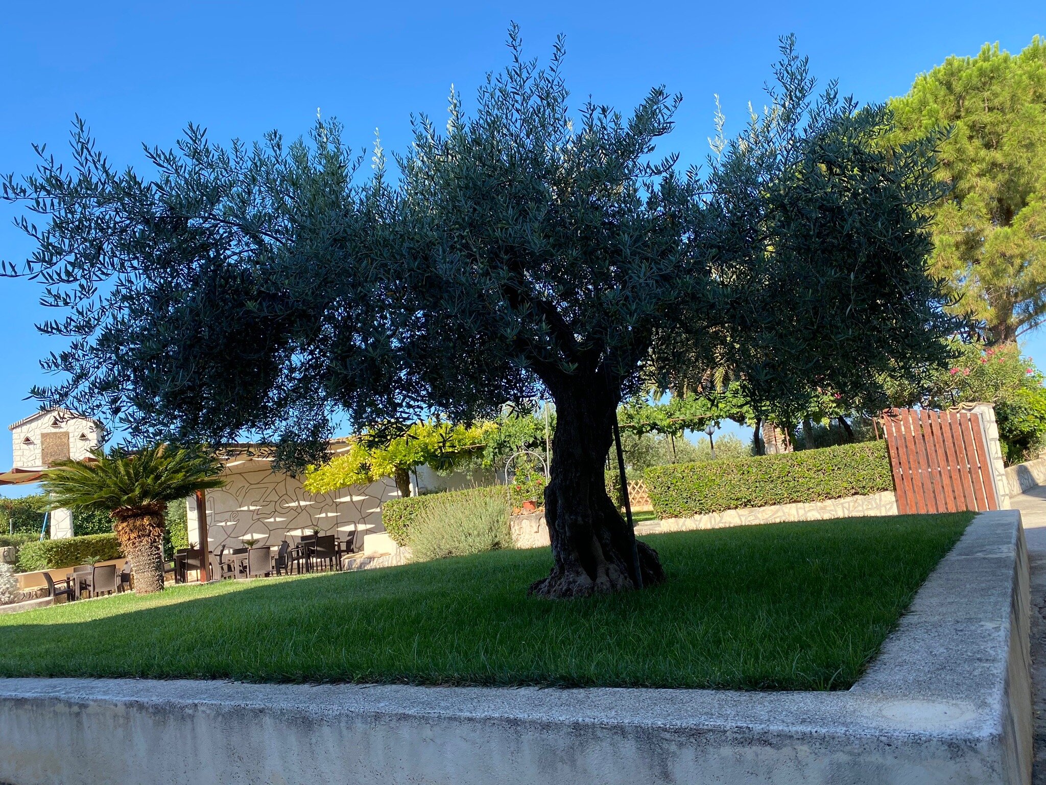 Agriturismo Le Zarafe-官方