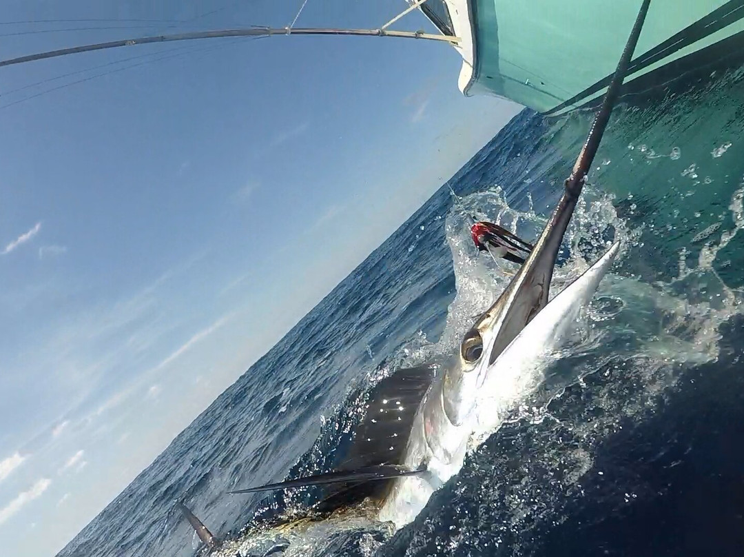 Reelax Fishing Charters-Atlantic Beach必去景点