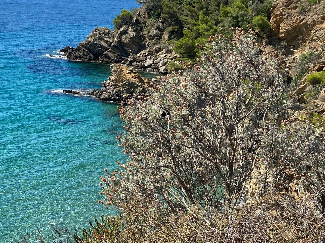 Sentier du Fenouillet-Cavalaire-Sur-Mer必去景点