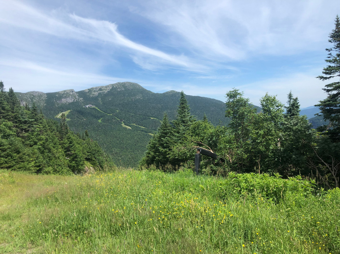 Stowe Mountain Auto Toll Road-斯托必去景点