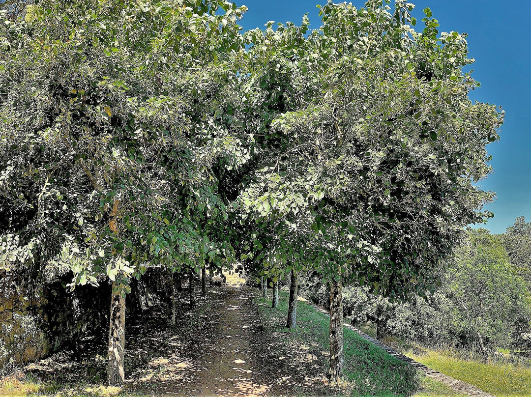 Parc Garenne Valentin景点图片