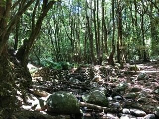 Ymaguara景点图片