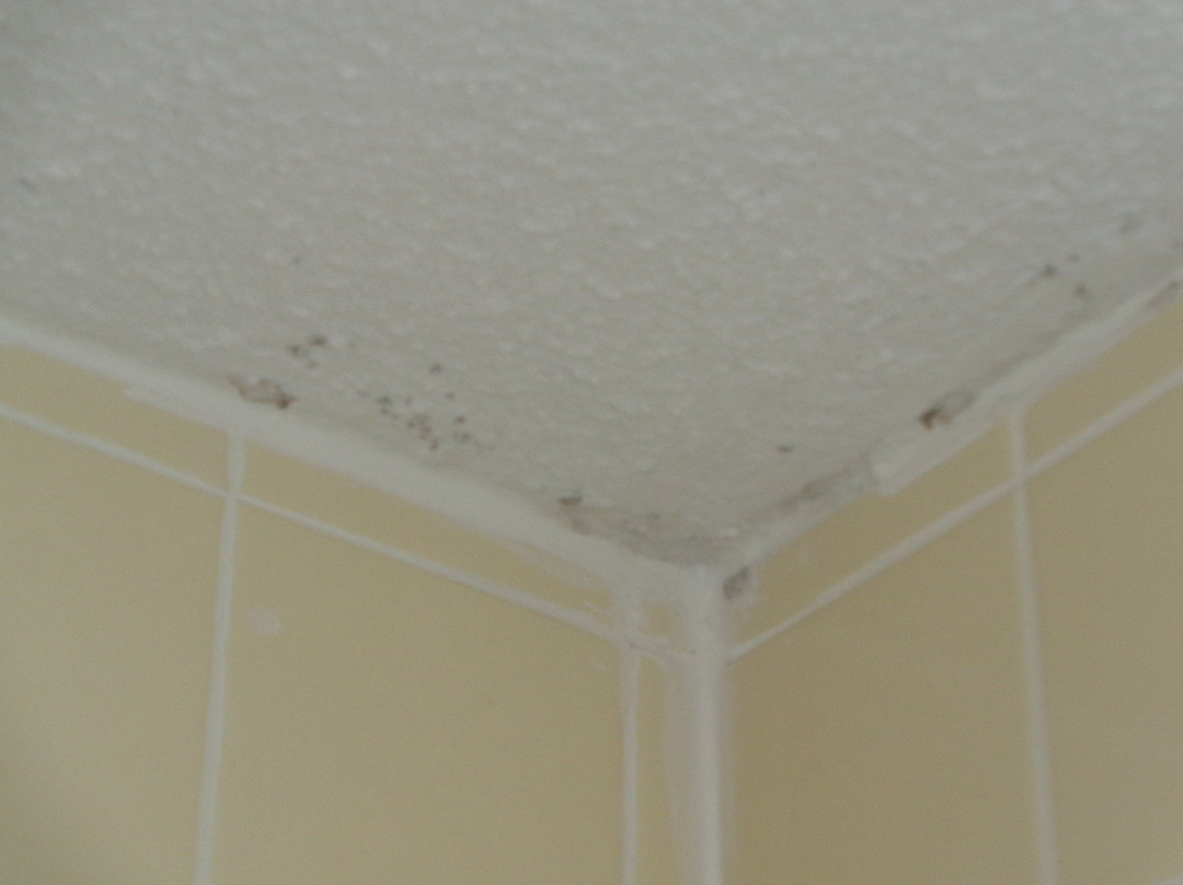 墨尔本戴斯酒店主图