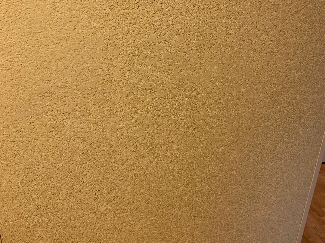 Homewood Suites by Hilton Tampa-Brandon主图