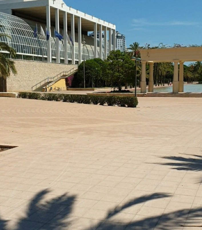 Palacio De La Música De Valencia景点图片