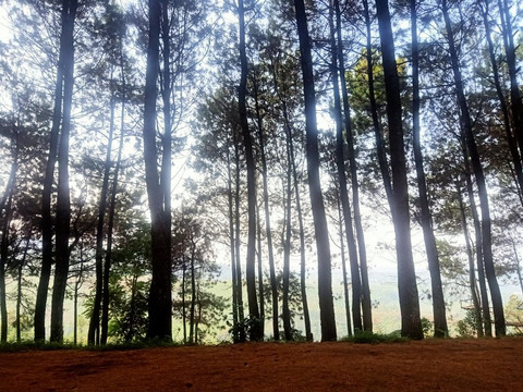 Bukit Senyum-万隆必去景点