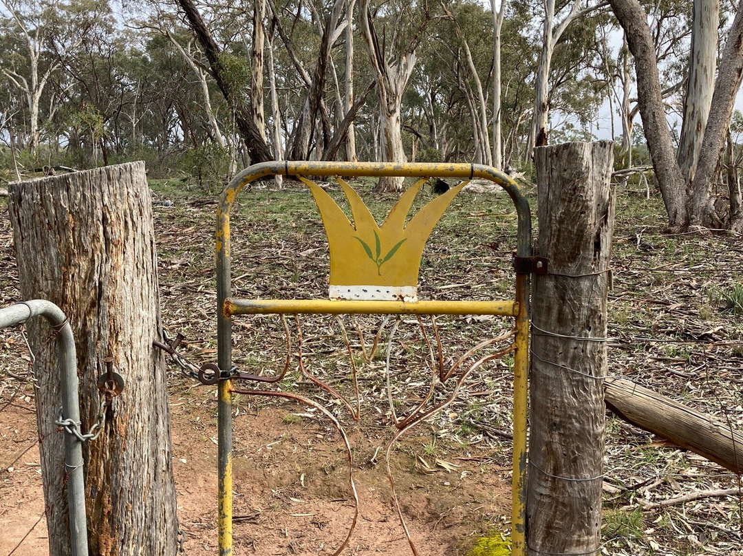 Wirrabara Forest景点图片