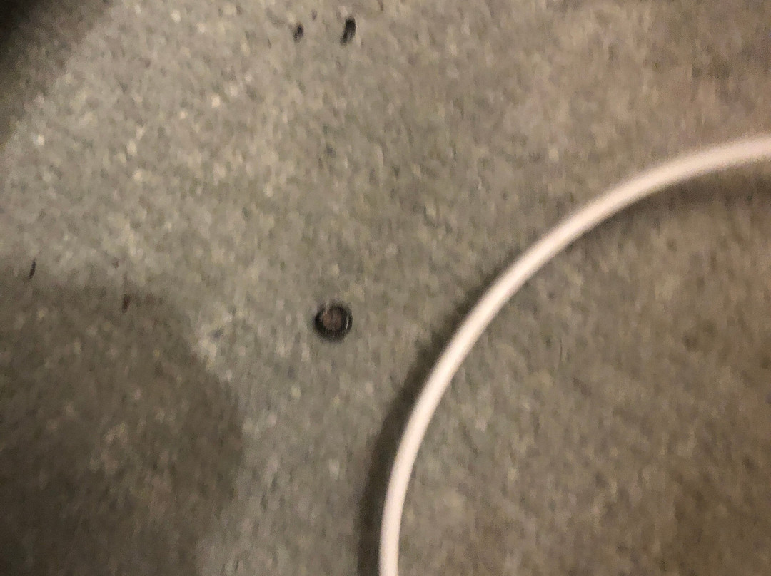 山景汽车旅馆和度假小屋主图