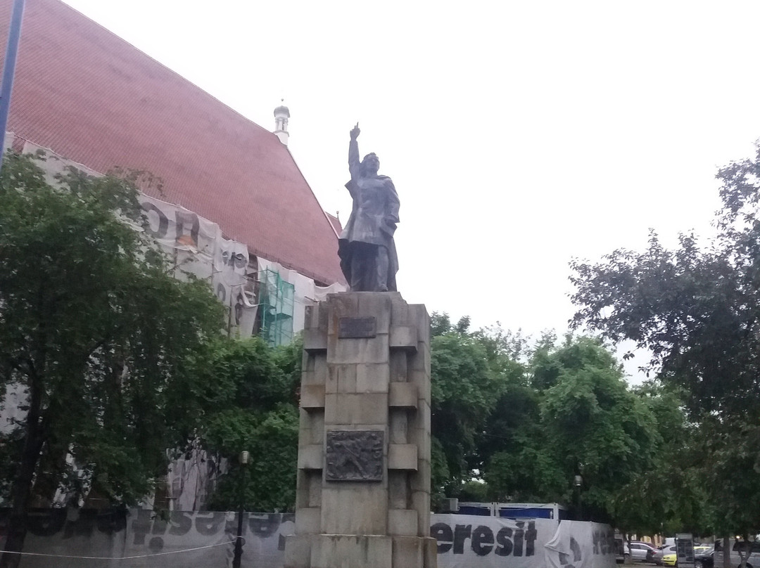 Statue of Andrei Muresanu景点图片