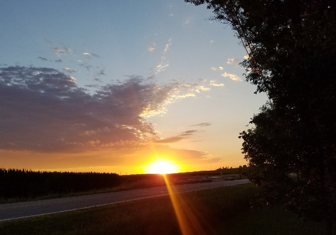 Shady Oaks RV Campground