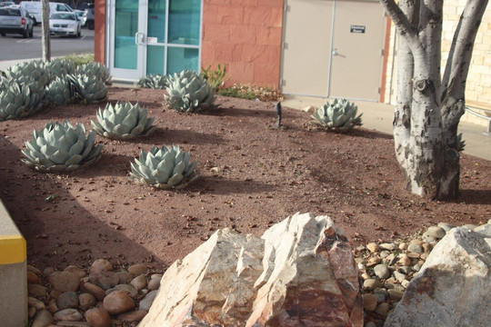 Sun City Library-Menifee必去景点