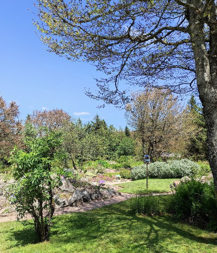 Jardin d'altitude du Haut Chitelet景点图片