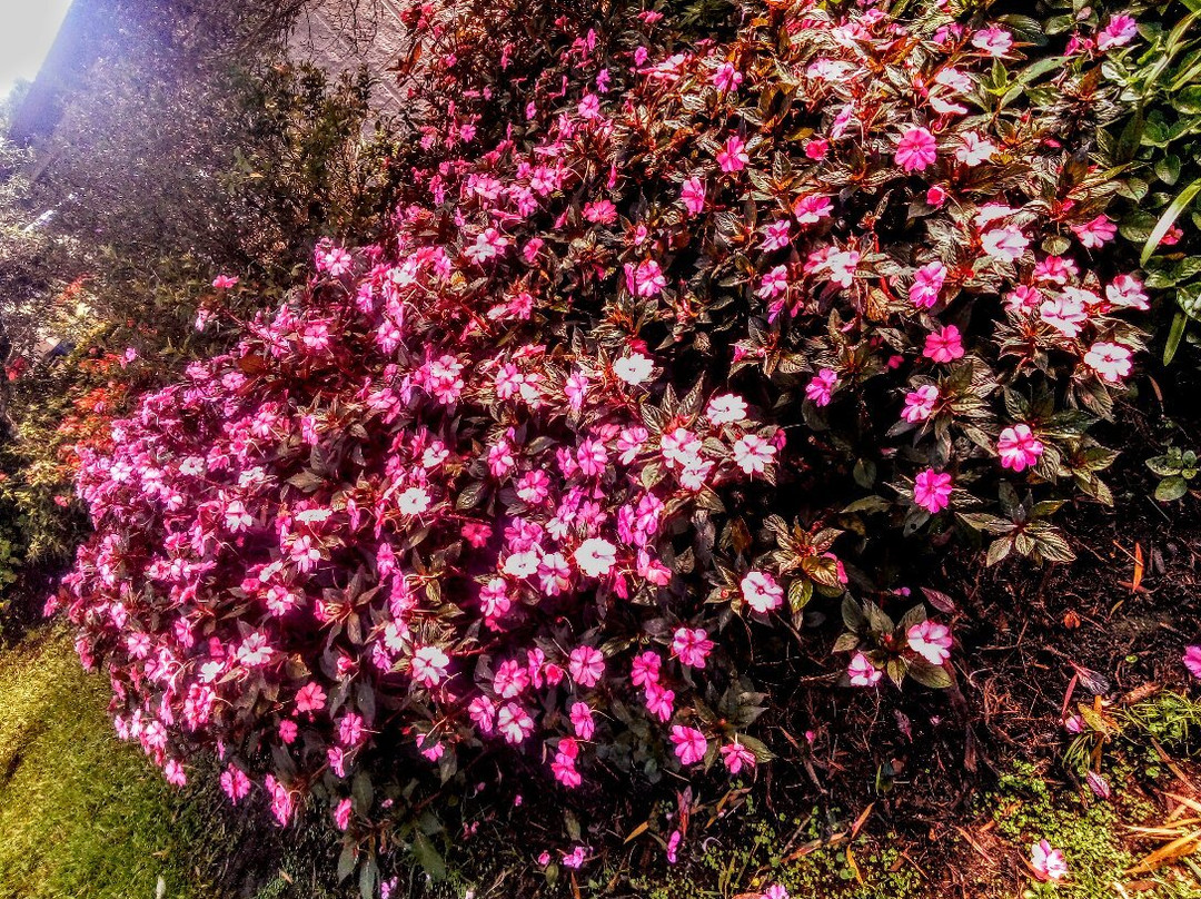 Eacham Memorial Gates Park