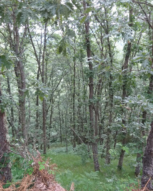 Monte Hijedo-Valderredible必去景点