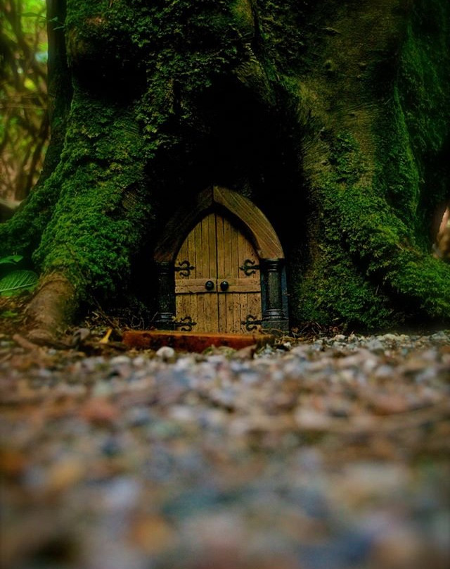 Woodland Faerie Trail景点图片