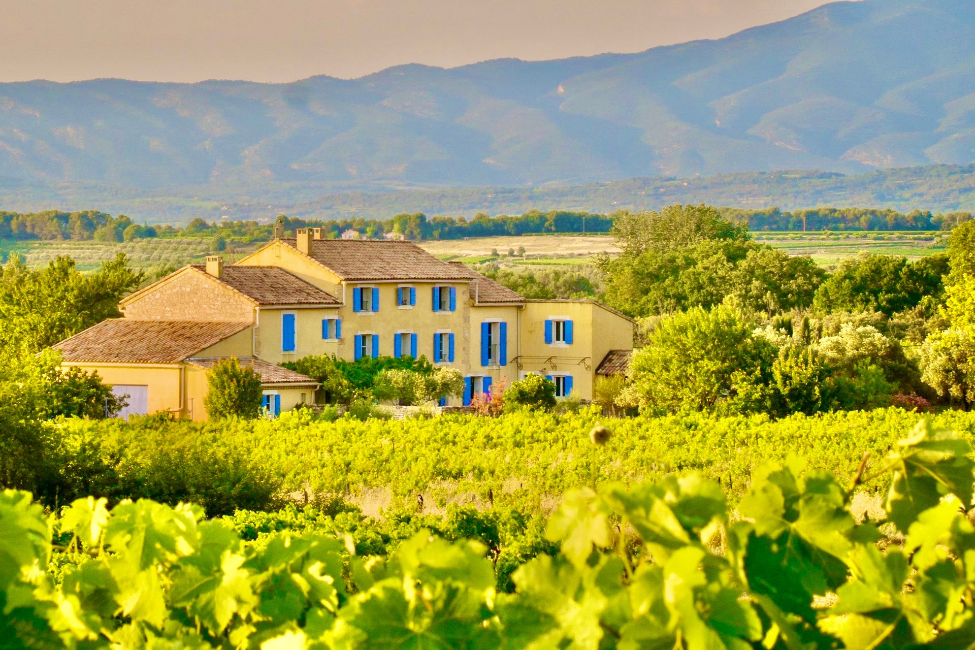 Bastide Saint-Didier-官方