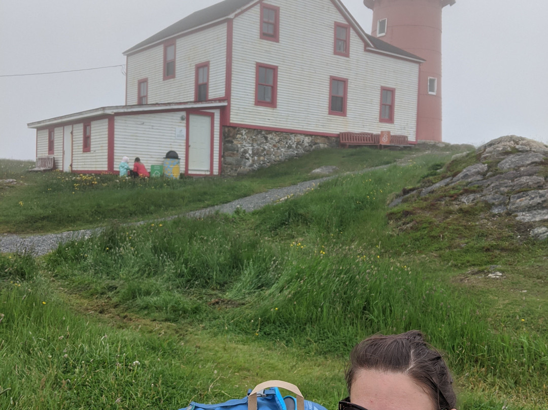 Lighthouse Picnics景点图片