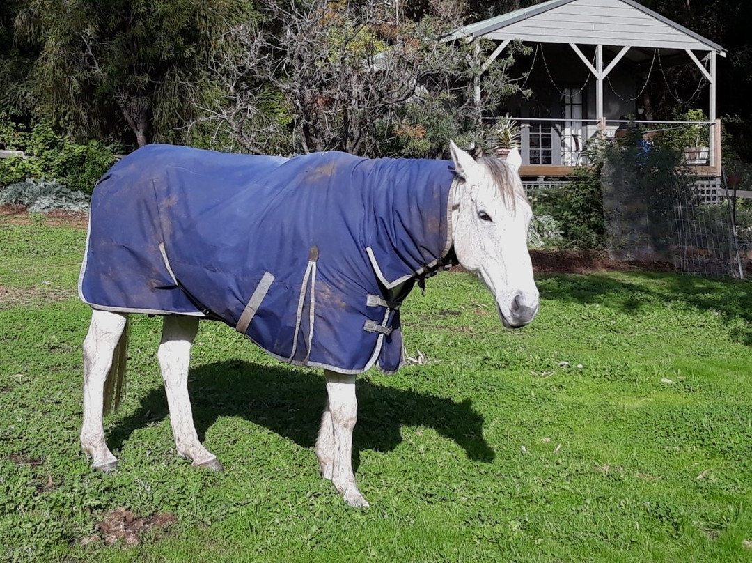 Whispering Pines B&B主图