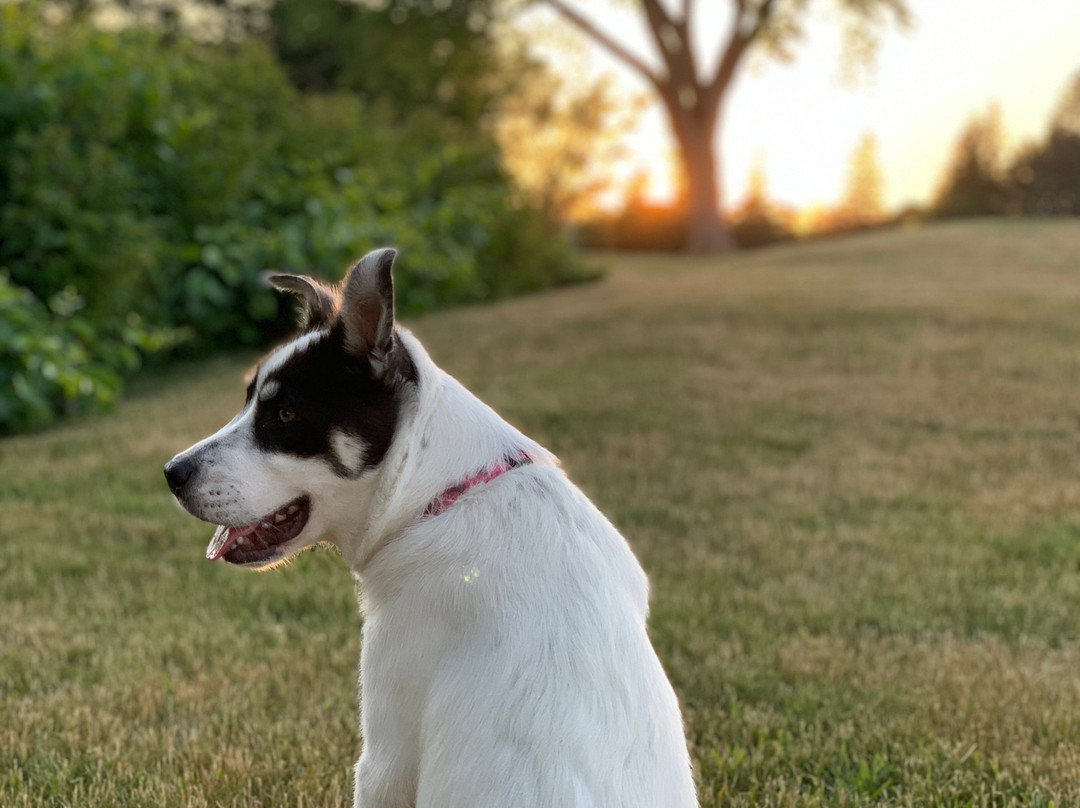 山姆赛特海洋度假酒店主图