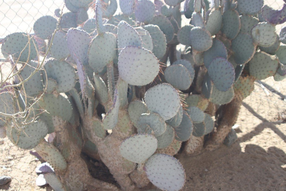 Homestead Valley Park and Recreation-Landers必去景点