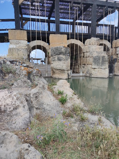 Taninim Nature Reserve-Bet Hananya必去景点