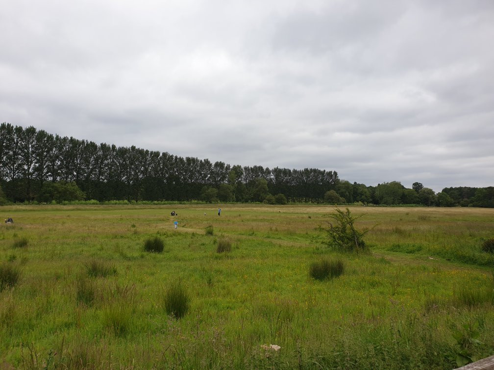 Towcester Castle ( Bury Mount)景点图片
