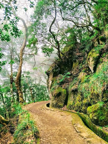 Madeira with Linda-沙尔必去景点