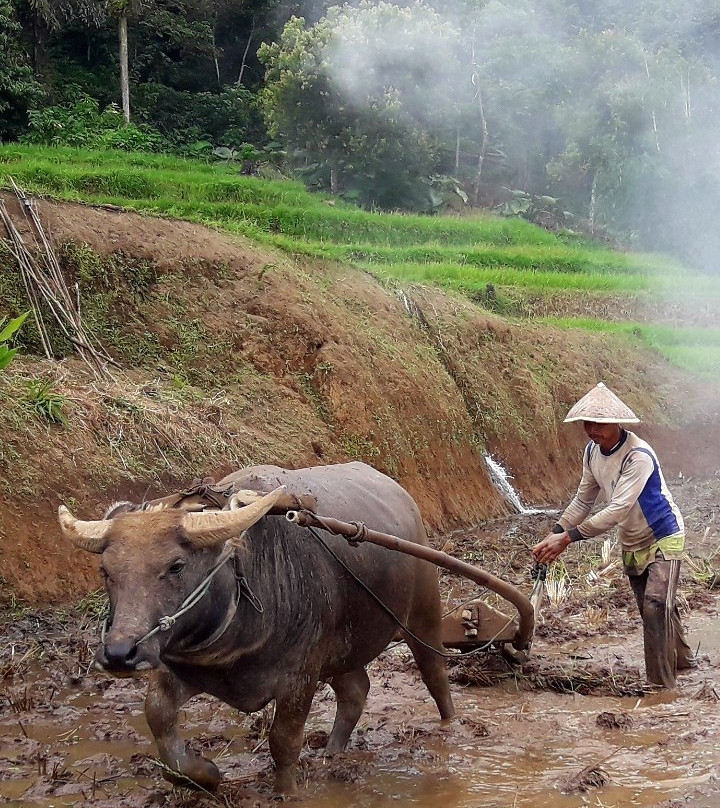 Habibie DelapanTour-武吉丁宜必去景点