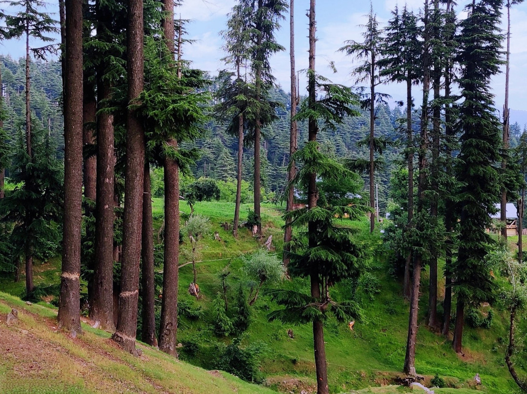 Lolab Valley-Kupwara必去景点