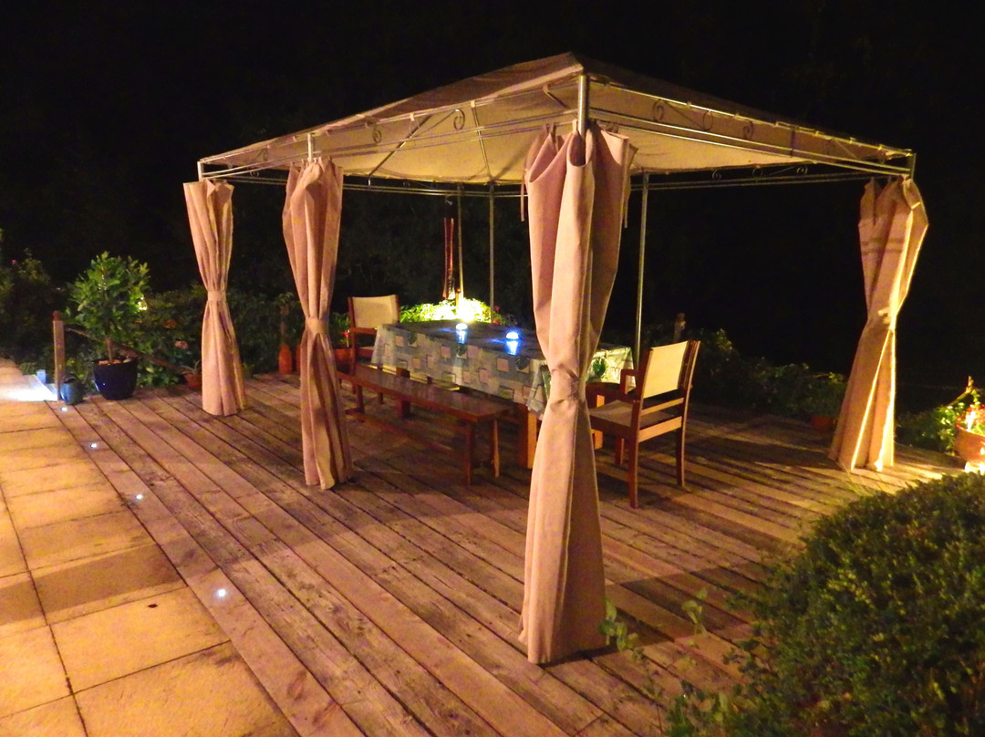 La Pierre Plantée主图