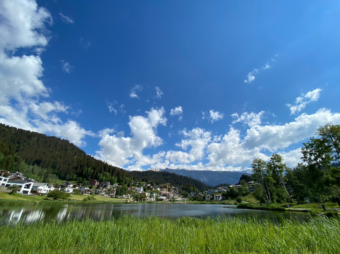 Alpen Arena-Flims必去景点