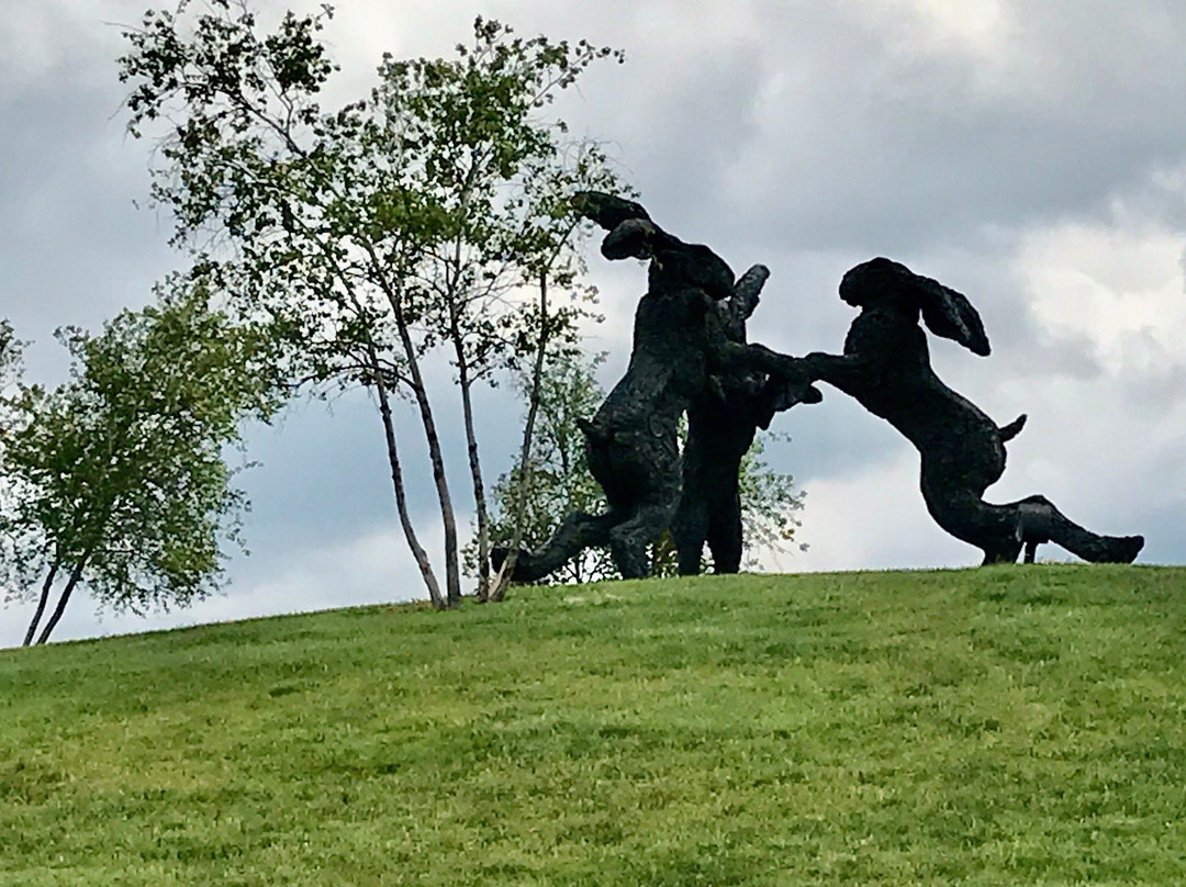 Ballantrae Community Park-都柏林必去景点