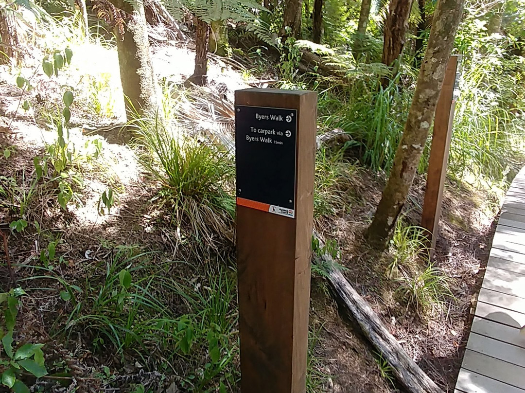 Kitekite Falls-皮哈海滩必去景点