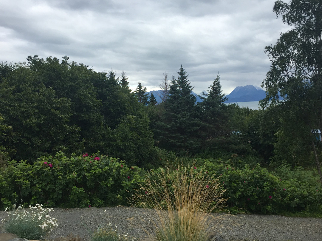 Bear Creek Winery and Lodging主图