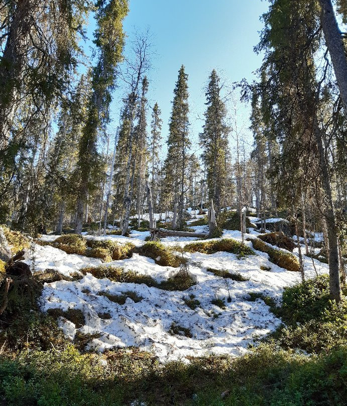 Oulanka National Park Visitor Center-Oulanka National Park必去景点