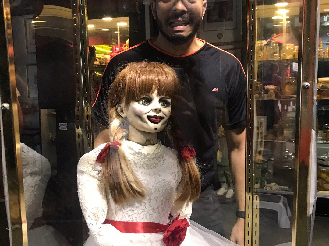 Museum of the Bizarre-威尔明顿必去景点