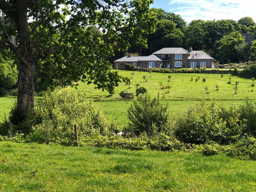 Grampound to Trewithen Circular Walk-Grampound必去景点