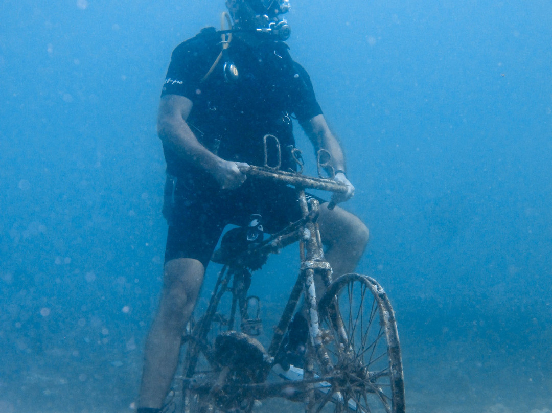 True Scuba景点图片