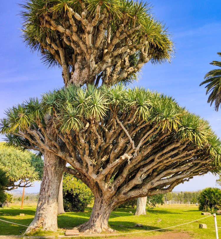 Castillo de Piria-Piriapolis必去景点