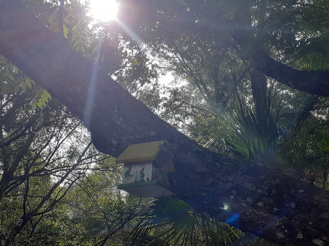 Cassadaga Spiritualist Camp景点图片