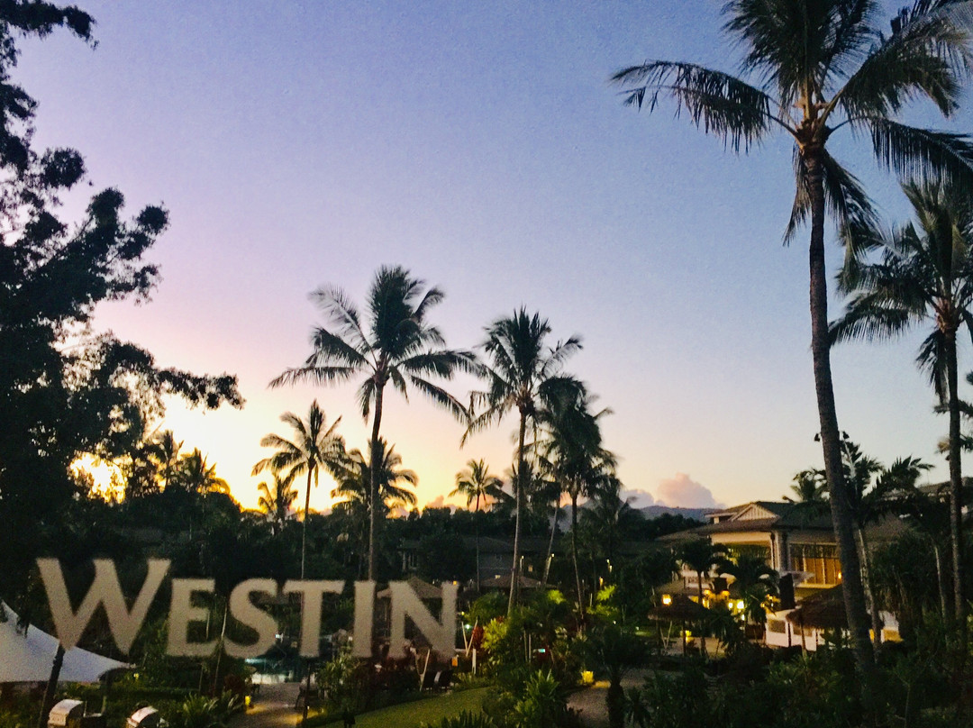 威斯汀普林斯维尔海洋度假别墅酒店主图