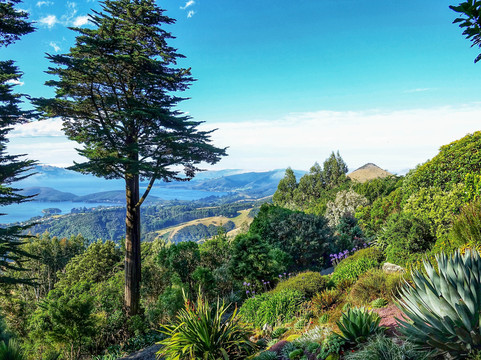 拉纳克住宿主图