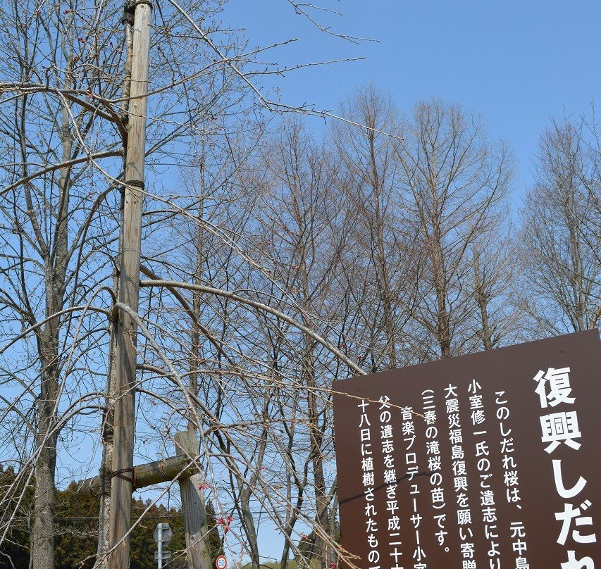 Nakajima Direct Marketing Museum Kirasshe-中岛村必去景点