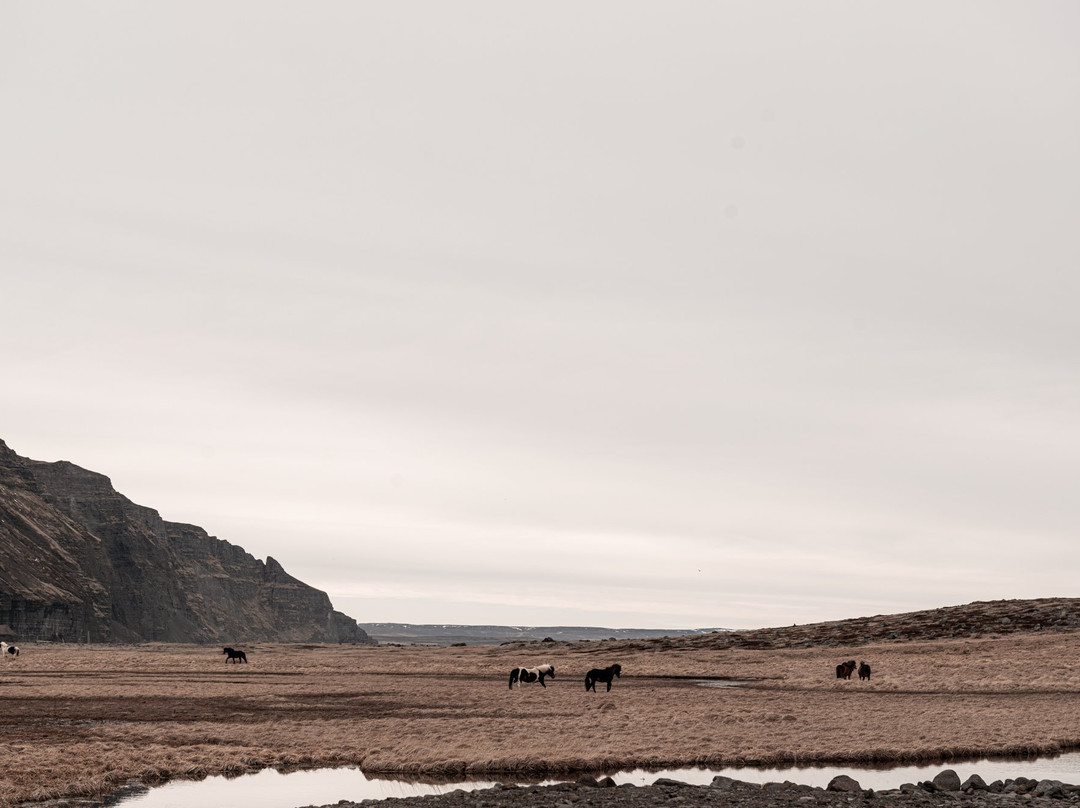 Grettislaug-Saudarkrokur必去景点