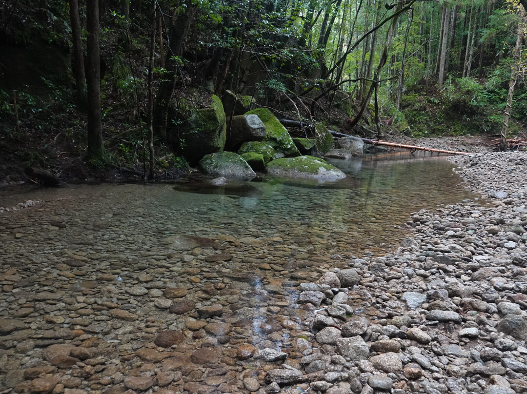 Kuwanoki Falls-新宫市必去景点