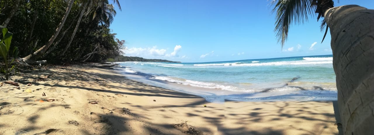 Colores Seafront-官方
