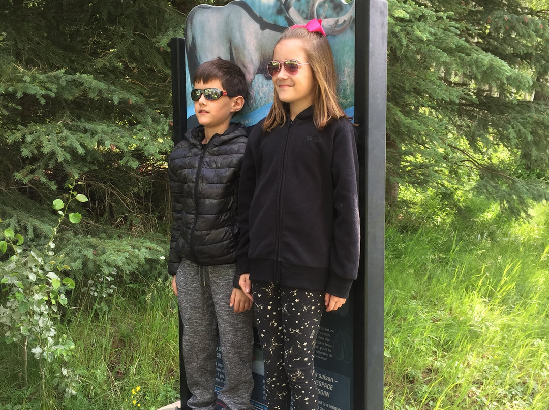 弓河谷观景大道-班夫必去景点