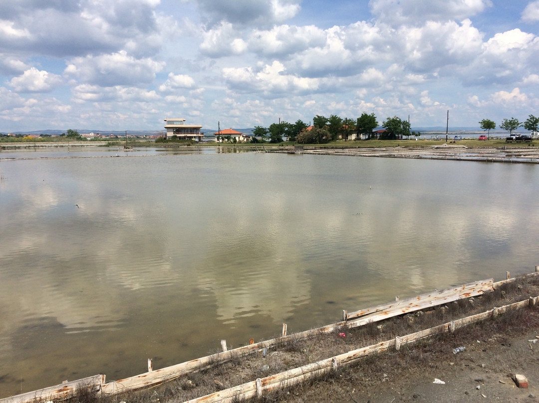 Pomorie Lake-帕莫瑞必去景点