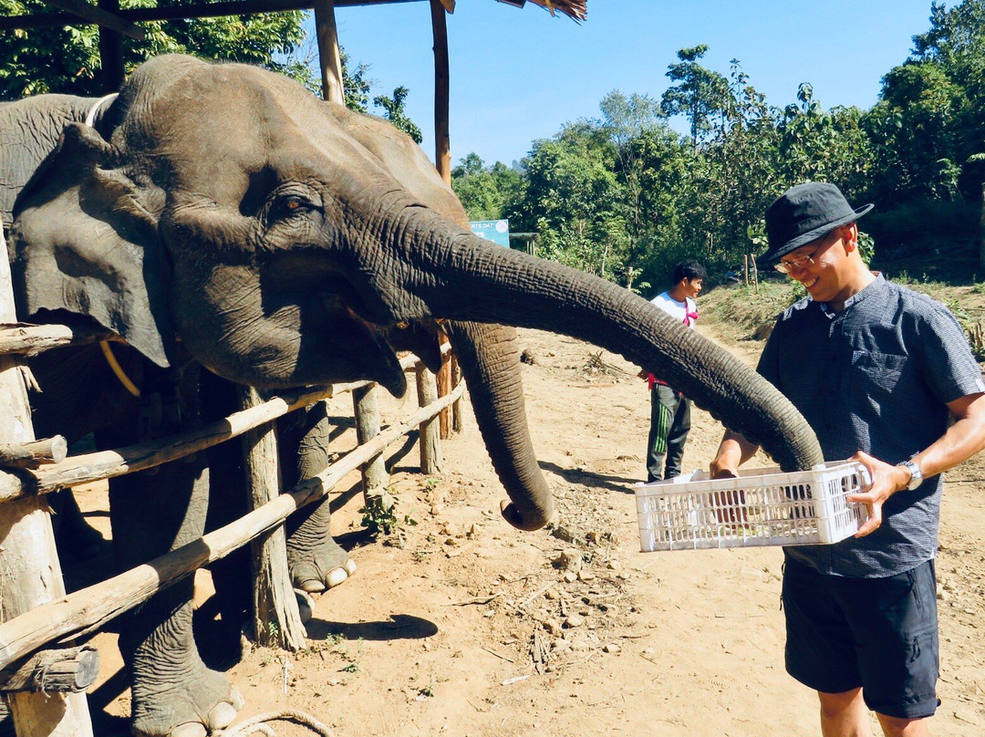 Ngapali Elephants Sanctuary-卡帕里必去景点