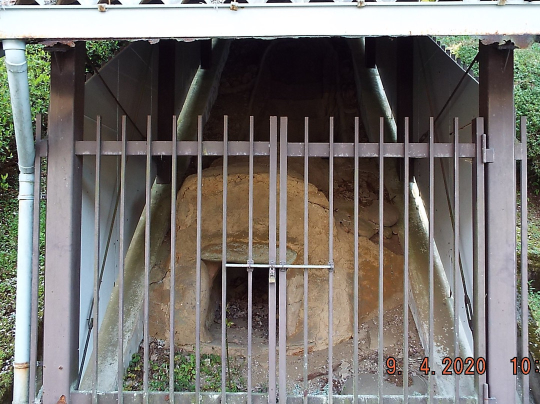 Saimyoji Temple Historic Park景点图片